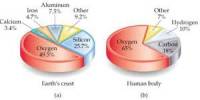 Composition of the Human Body