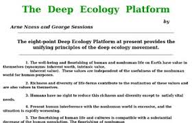 deep ecology essay