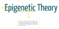 Epigenetics Theory