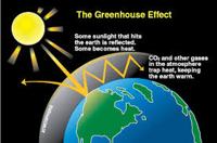 Facts of Greenhouse Installation