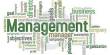 Theoretical Scope of Management