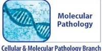 Molecular Pathological Epidemiology