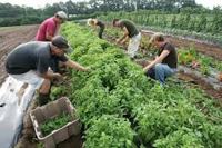 Organic Farming Methods