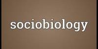 Sociobiology Definition