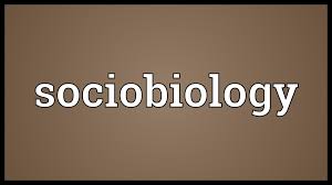 Sociobiology Definition