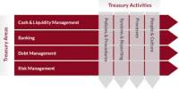 Treasury Functions Analysis of Financial Performance of Banglalink