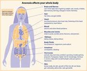 Know about Anorexia