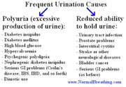Frequent Urination