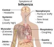 About Influenza