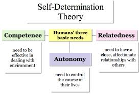 Self-determination Theory