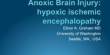 Anoxic Brain Injury