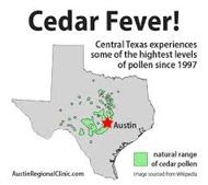 Cedar Fever