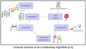 Evolutionary Algorithm