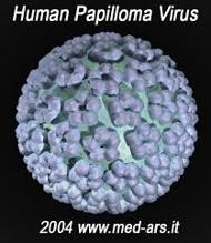 Human Papilloma Viruses