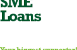 SME Loan Repayment Behavior in BRAC Bank
