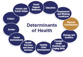 Social Determinants of Health Economic