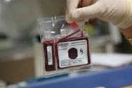 Cord Blood Donation