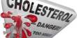 Importance of Cholesterol