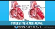 Congestive Heart Disease