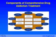 Drug Addiction Treatment