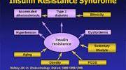Metabolic Syndrome and Insulin Resistance