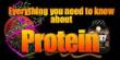 About Protein