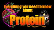 About Protein