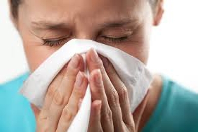 Causes of a Common Cold
