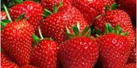 Benefits of Eating Strawberries