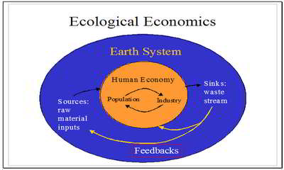 ecological economics assignment point assignmentpoint