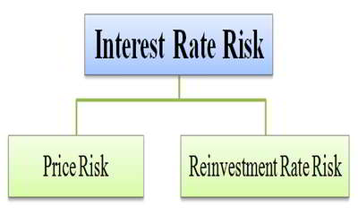 Interest Rate Risk