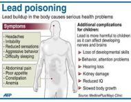 About Lead Poisoning