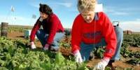 About Agricultural Jobs