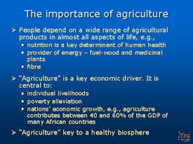 Importance of Agriculture