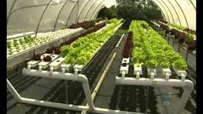 define on aquaponic farming - assignment point