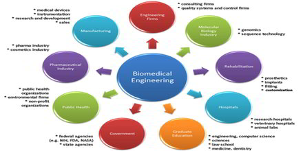 Bio medical Engineering