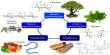 Biopolymer Definition