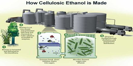 Cellulosic Ethanol