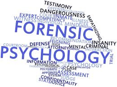 Define on Forensic Psychology
