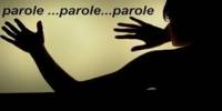 Introduction to Parole