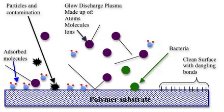 Polymer Adsorption