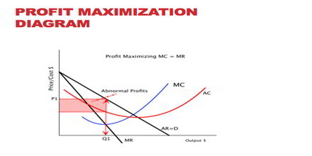 Profit Maximization Process