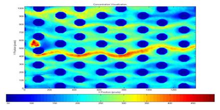 Transport Phenomena