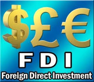 Direct Foreign Investment Strategies