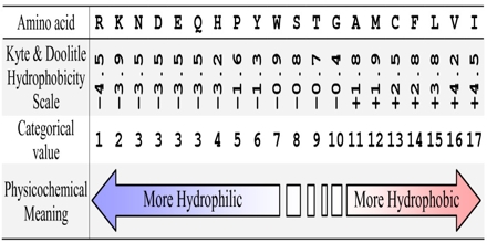 Hydrophobicity Scales