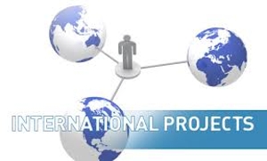 Format of International Tenders