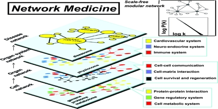 Network Medicine