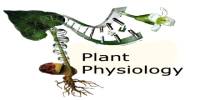 Plant Physiology Biology