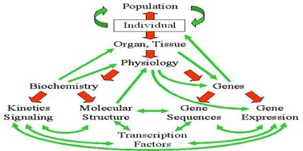 Complex Systems Biology