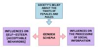 Cultural Schema Theory